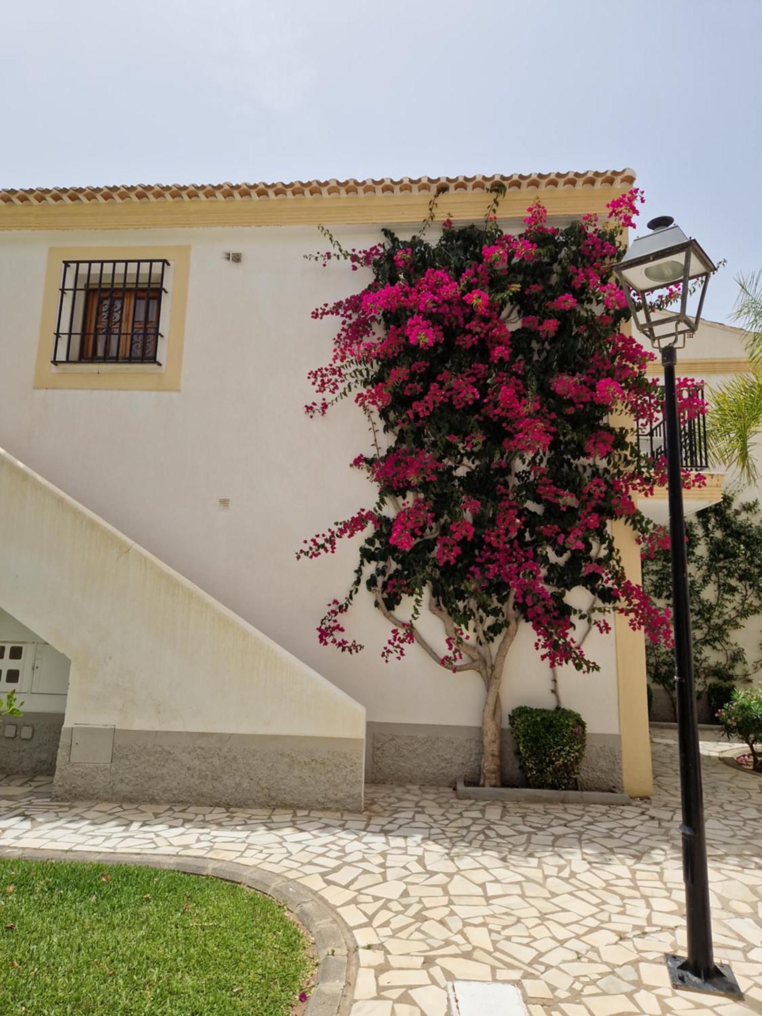 Apartamento Esquina Verde En Vera Coast Playas de Vera Exterior photo